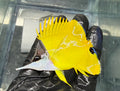 Yellow Longnose Butterfly