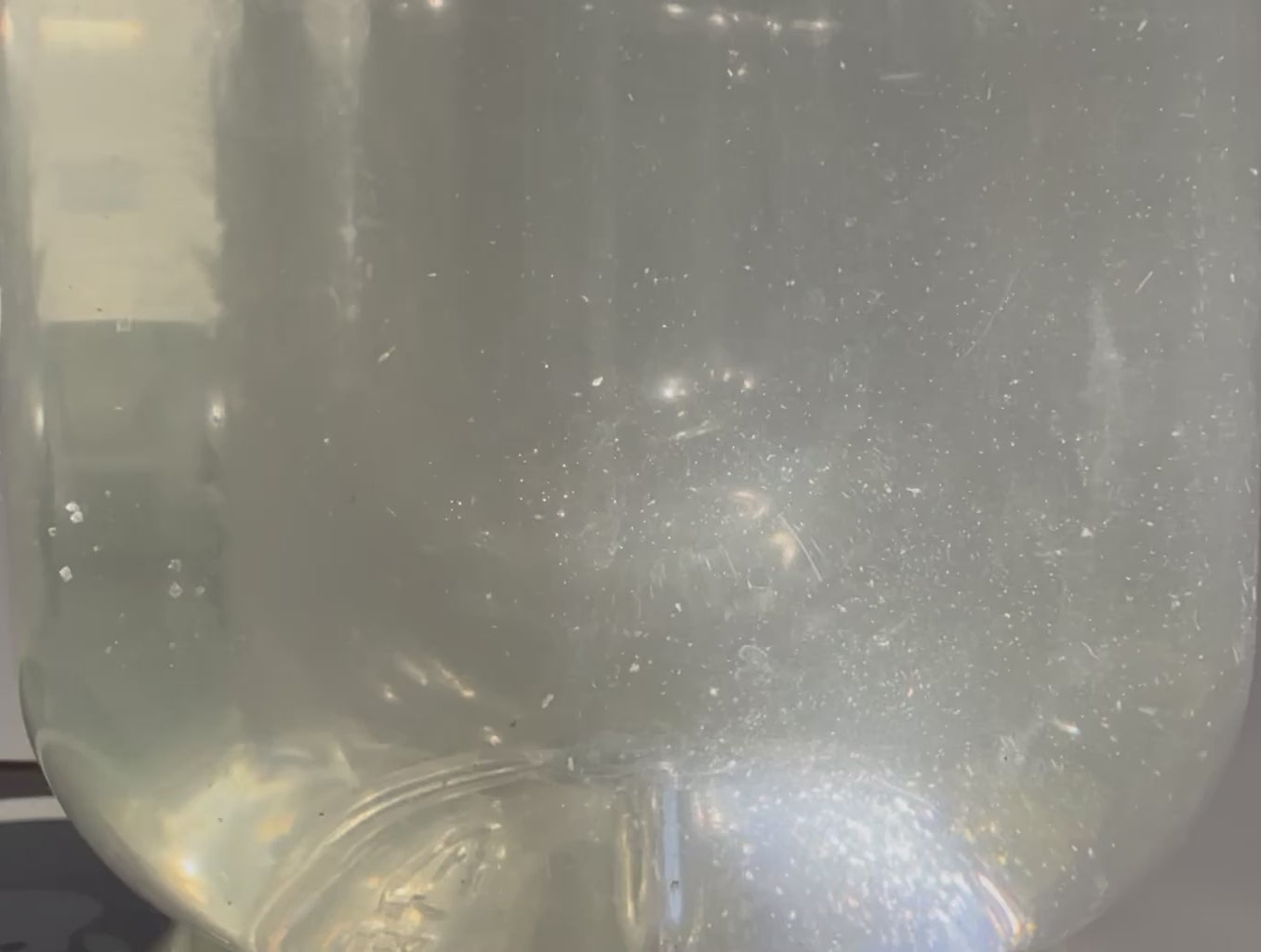 Copepods